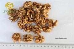 AA Walnut Kernel Light Amber & Whole Half Walnut Kernel & Balanced Walnut Kernel