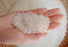 Vietnam’s rice exports increase 27 percent in first two months of 2020