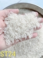 Top 10 Rice Producing Countries in the