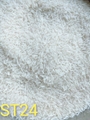 Top 10 Rice Producing Countries in the World
