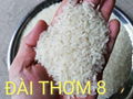HOW TO MAKE THE DELICIOUS FOOD FROM ALL KINDS OF VIETNAM RICE? 2