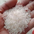 Standard rice export 5451 4