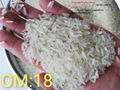 Vietnam #Rice available for #export