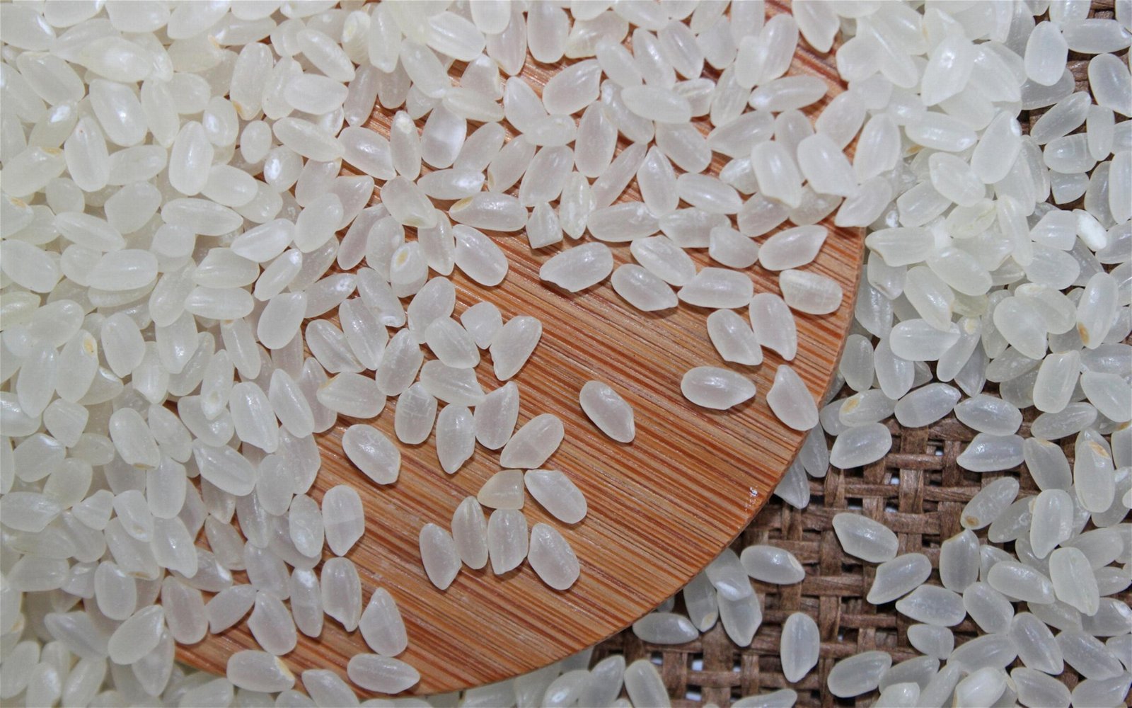 Overview about Japonica Rice - Japanese Rice in Vietnam 3