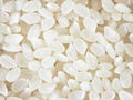 Overview about Japonica Rice - Japanese