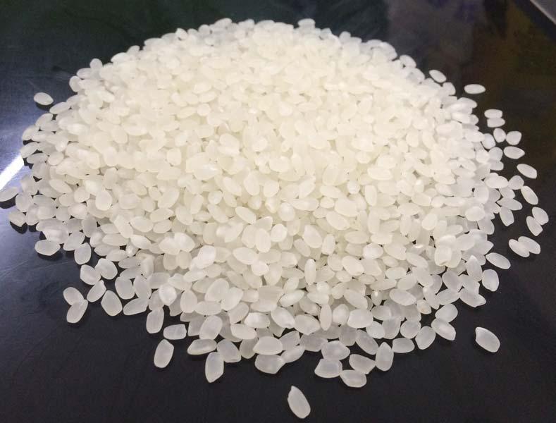 Overview about Japonica Rice - Japanese Rice in Vietnam 2