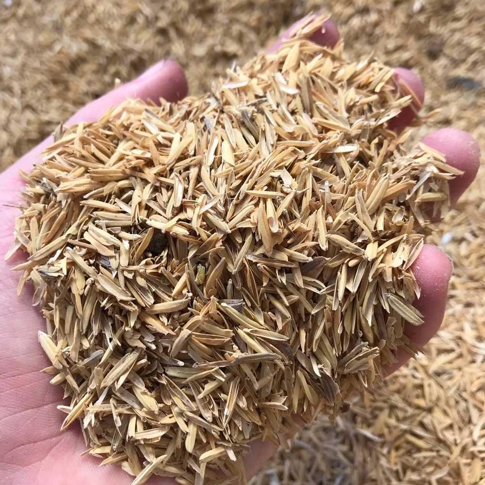 Rice Husk To Produce Biogas in VIETNAM  (Rice Husk Gasification) 2