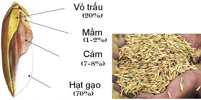 Rice Husk To Produce Biogas in VIETNAM  (Rice Husk Gasification) 4