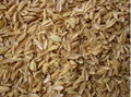 Rice Husk To Produce Biogas in VIETNAM  (Rice Husk Gasification) 5