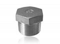 hex plug stainless steel