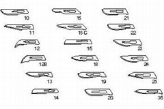 Sterile Surgical Blade