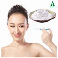 Best Quality HA Cosmetic Grade Hyaluronic Acid Sodium Hyaluronate Powder 2