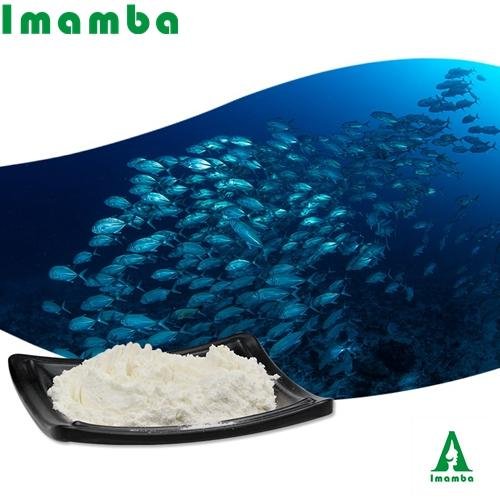 Natural Marine Hydrolyzed Fish Collagen peptide powder manufacturer for food gra