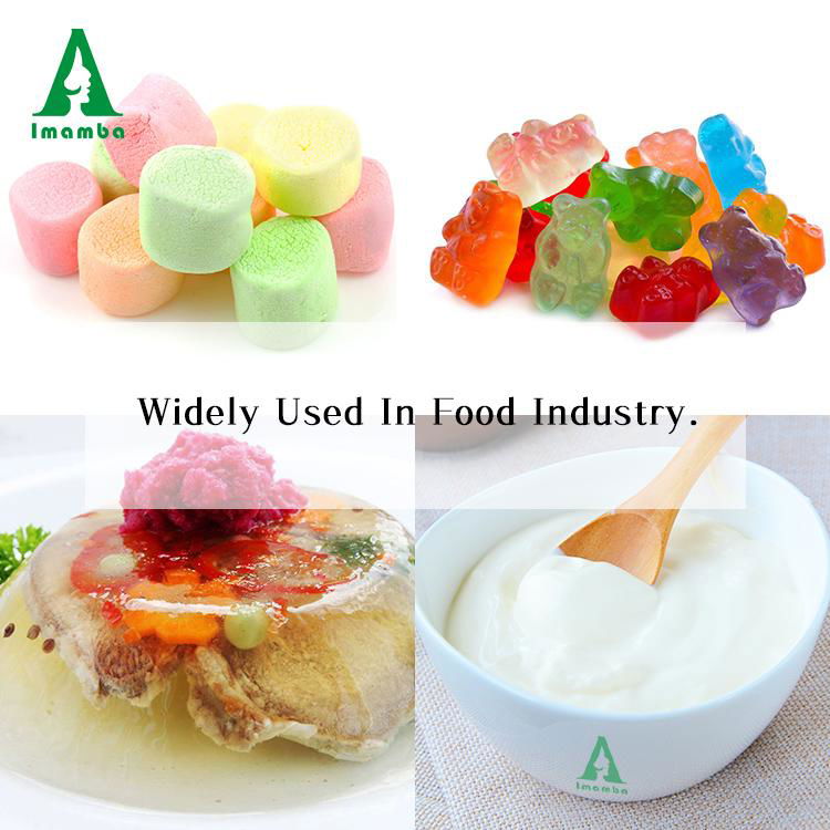 Halal Kosher Certificate Food Additive Edible Gelatin from China 3