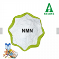 Imamba supply powder nmn nicotinamide mononucleotide nmn capsules Hot sale produ 4