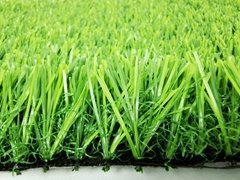 Artificial landscape  grass 