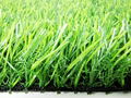 Artificial landscape  grass  1
