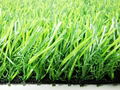 Artificial landscape  grass