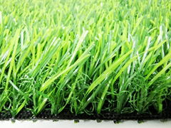 Artificial landscape  grass 