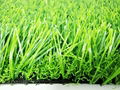 Artificial landscape  grass  1