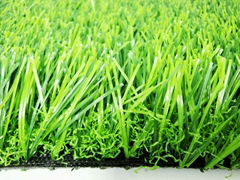 Artificial landscape  grass 