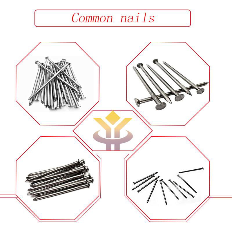 Common nail 1inch-6inch high quality low price (factory)