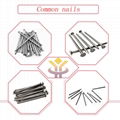 Common nail 1inch-6inch high quality low price (factory)