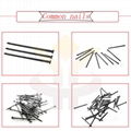 Common nail 1inch-6inch high quality low price (factory) 2