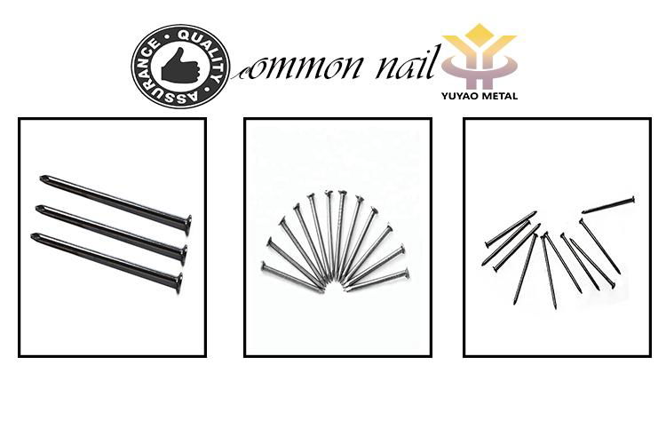 Common nail 1inch-6inch high quality low price (factory) 3