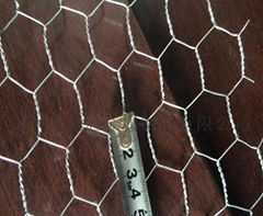 Hot dip electro galvanized chicken wire mesh hexagonal mesh with lowest price