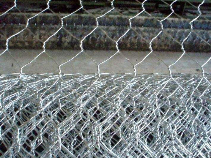 Hot dip electro galvanized chicken wire mesh hexagonal mesh with lowest price 4