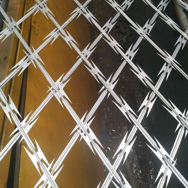 Galvanized Razor Wire Coils With Loops Dia 600 mm Used On Ships For Anti-piracy 2