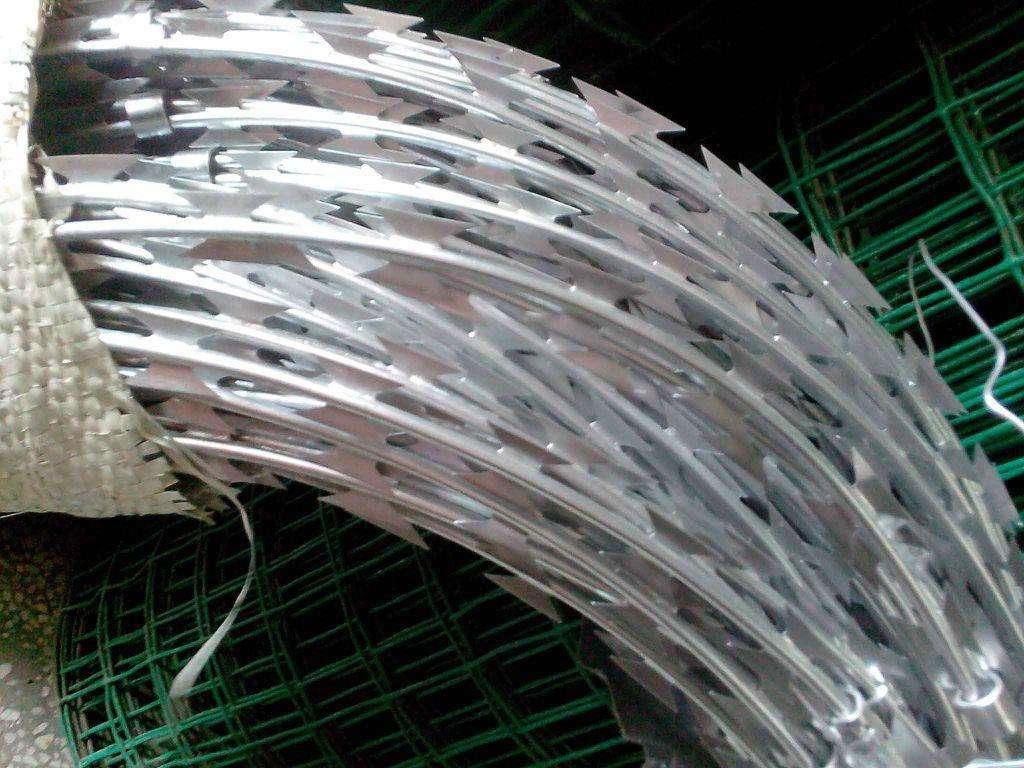 Galvanized Razor Wire Coils With Loops Dia 600 mm Used On Ships For Anti-piracy 3