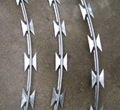 Galvanized Razor Wire Coils With Loops Dia 600 mm Used On Ships For Anti-piracy 4