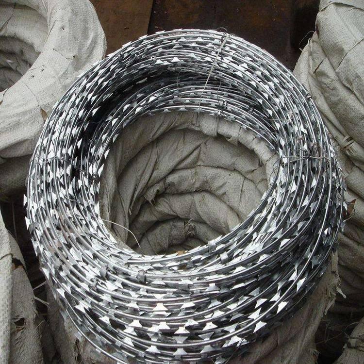 Galvanized Razor Wire Coils With Loops Dia 600 mm Used On Ships For Anti-piracy 5