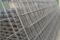 High Quality Galvanized Welded Wire Mesh  5
