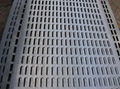 Hot Sales 304 Circle Holes Perforated Sheet Metal 3