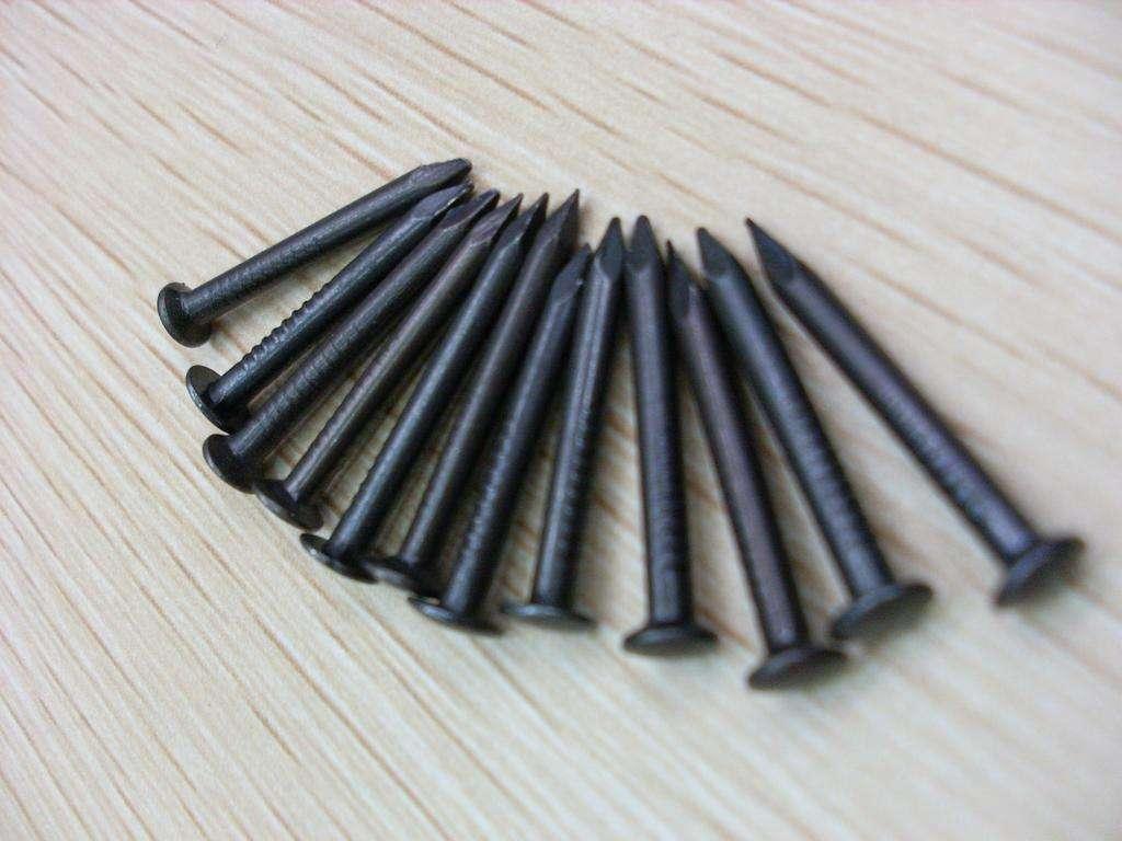 Fluted Steel Nails Concrete Cement Steel Nails Spring Concrete Nails  2