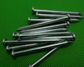 Fluted Steel Nails Concrete Cement Steel Nails Spring Concrete Nails  3