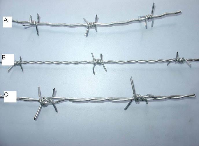 Big wall spike are an attractive to razor wire 5