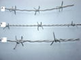 Big wall spike are an attractive to razor wire 5
