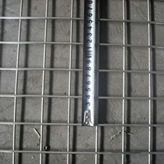 High Quality Galvanized Welded Wire Mesh 