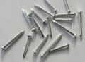 China factory galvanized hardened steel concrete nails 4