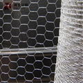 Chicken-Wire-Mesh-Rabbit-Fence-25mm-Galvanised-Garden-Netting-0-6-x-25m-156 Rabb 2