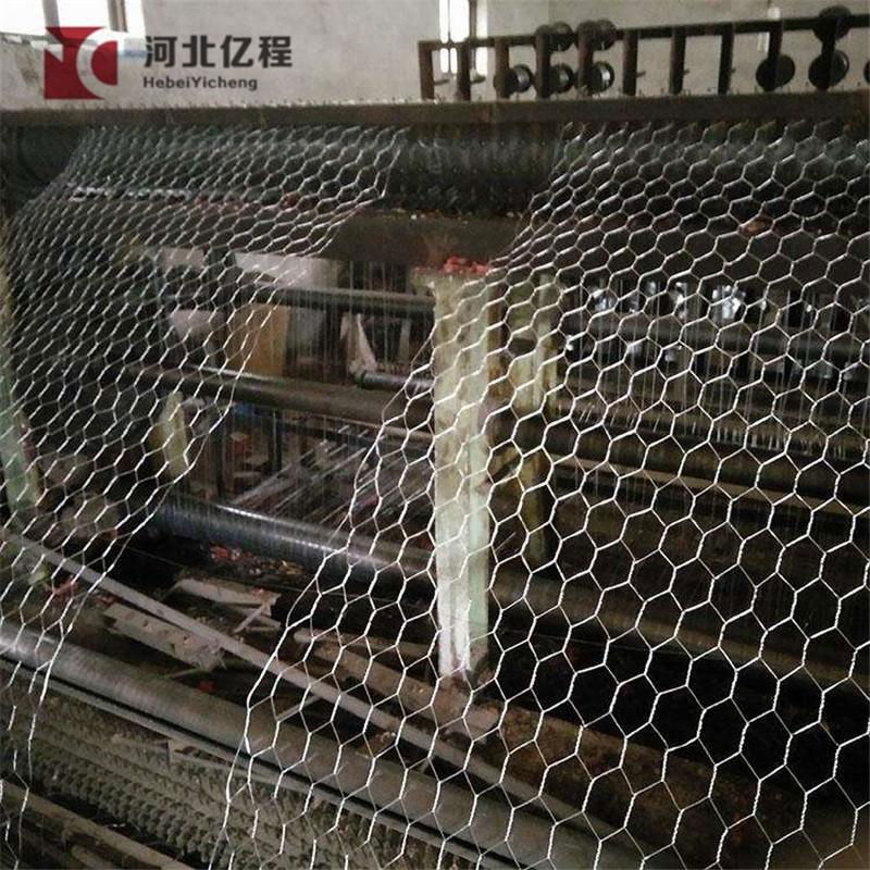 Chicken-Wire-Mesh-Rabbit-Fence-25mm-Galvanised-Garden-Netting-0-6-x-25m-156 Rabb 4