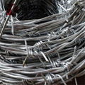 Galvanized or PVC coated Single twist barbed wire and double twist barbed wire 3