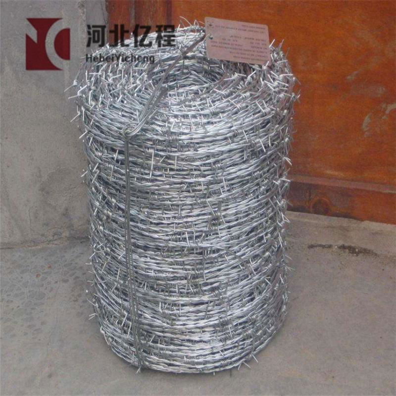 Galvanized or PVC coated Single twist barbed wire and double twist barbed wire 4