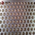 High Quality Perforated Expanded Mesh