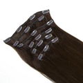 Clip in Hair Extensions 1