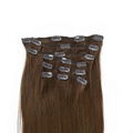 Clip in Hair Extensions 2